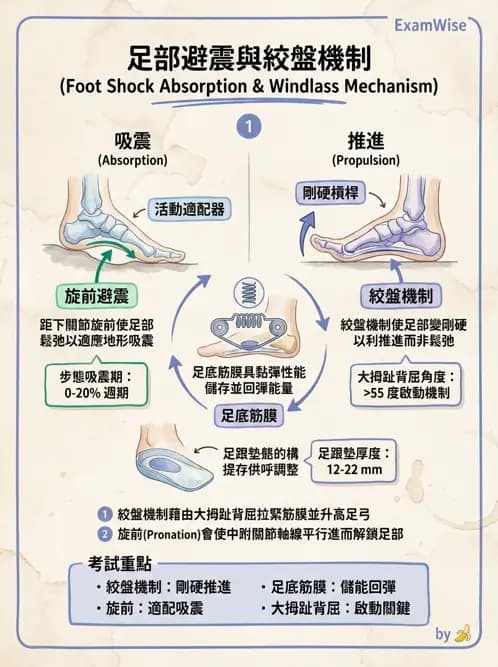 物治 - 足部病變與輔具評估 - AI 圖文解析預覽