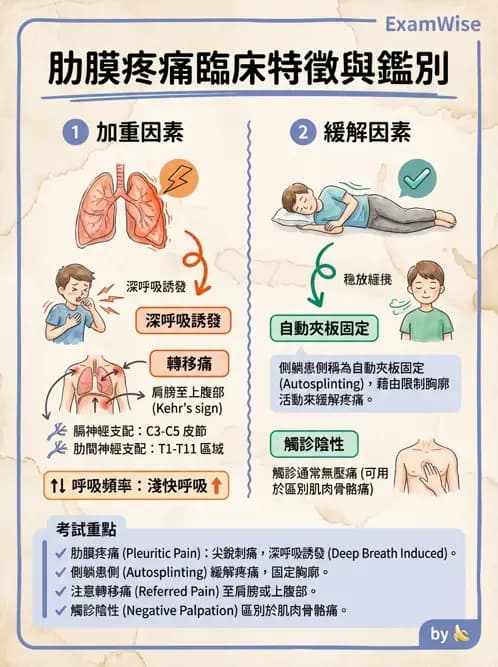物治 - 初級照護與鑑別診斷 - AI 圖文解析預覽