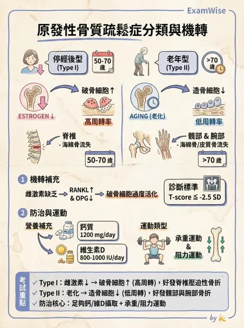 物治 - 女性健康 - AI 圖文解析預覽