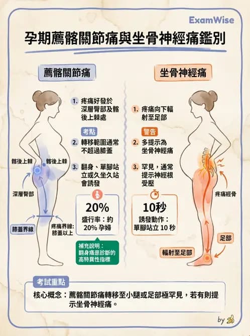 物治 - 女性健康 - AI 圖文解析預覽
