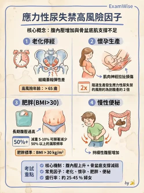 物治 - 女性健康 - AI 圖文解析預覽