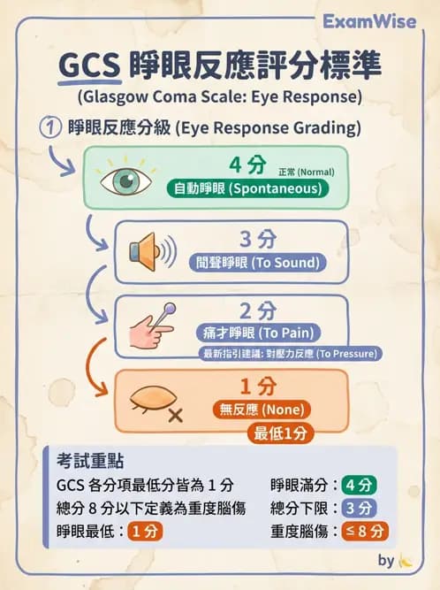 物治 - 競技與運動防護 - AI 圖文解析預覽