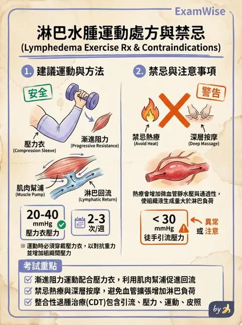 物治 - 皮膚與淋巴系統物理治療 - AI 圖文解析預覽
