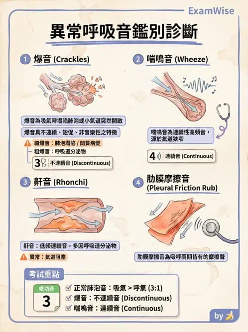 物治 - 呼吸臨床評估技術 - AI 圖文解析預覽