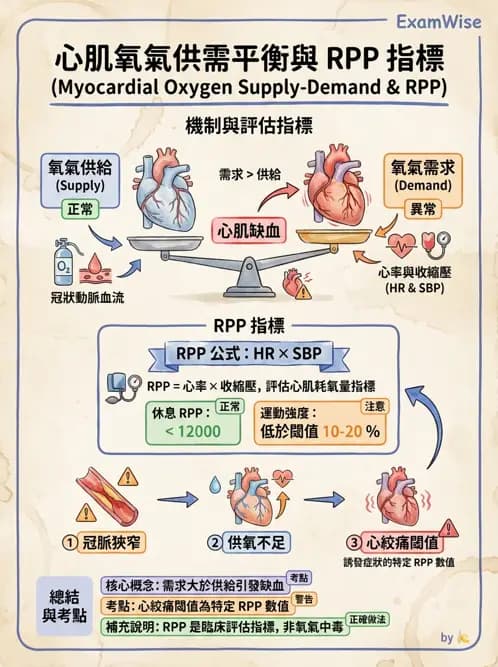 物治 - 循環解剖、生理與血流動力學 - AI 圖文解析預覽