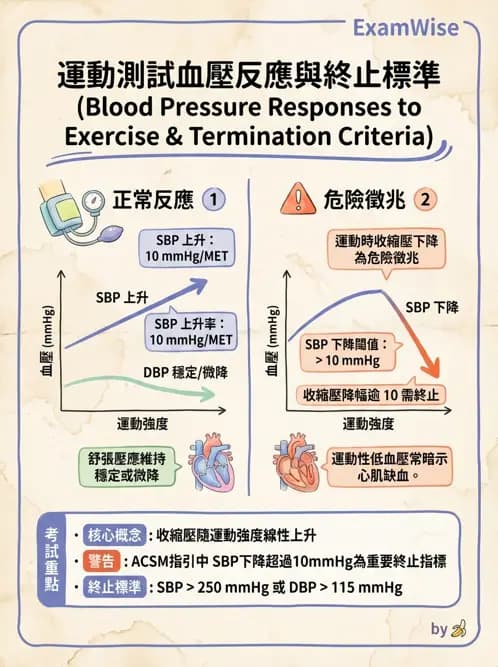 物治 - 心臟診斷工具與運動測試 - AI 圖文解析預覽
