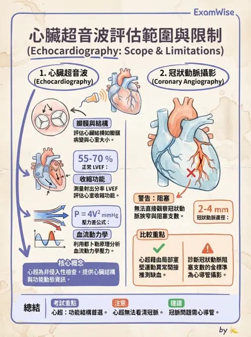 物治 - 心臟診斷工具與運動測試 - AI 圖文解析預覽
