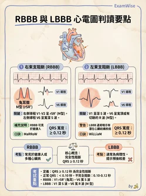 物治 - 心電圖判讀 - AI 圖文解析預覽