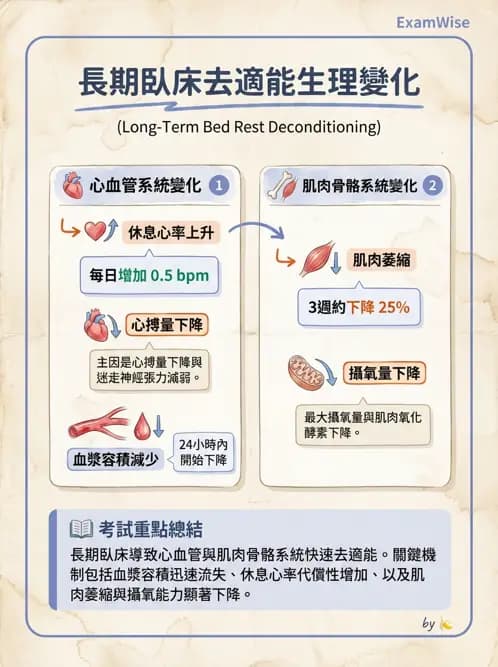 物治 - 心臟復健與運動處方 - AI 圖文解析預覽