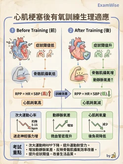物治 - 心臟復健與運動處方 - AI 圖文解析預覽