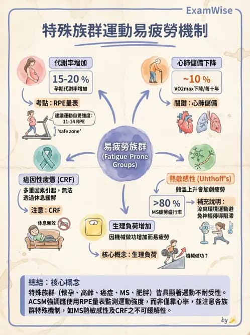 物治 - 體適能評估與運動測試 - AI 圖文解析預覽