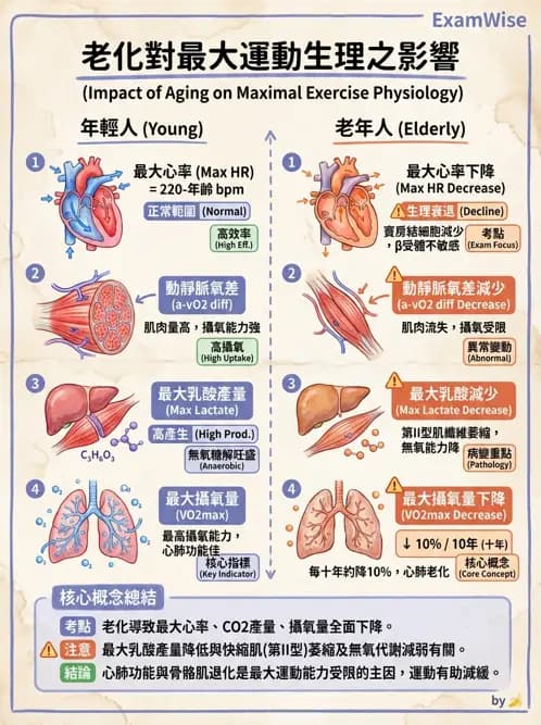 物治 - 特殊族群運動處方與健康促進 - AI 圖文解析預覽