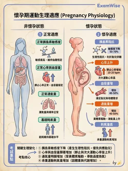 物治 - 特殊族群運動處方與健康促進 - AI 圖文解析預覽