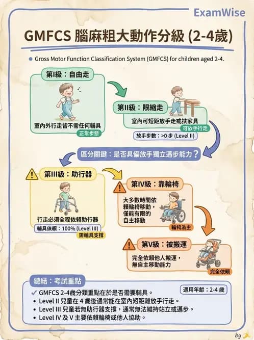 物治 - 腦性麻痺分類、評估與步態 - AI 圖文解析預覽