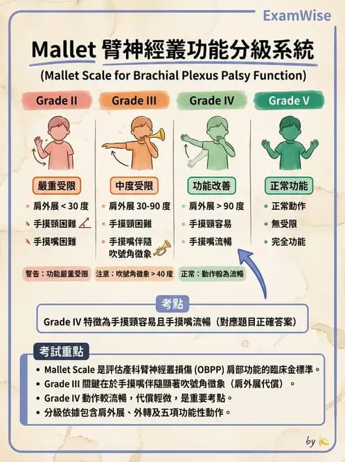 物治 - 小兒肌肉骨骼疾患物理治療 - AI 圖文解析預覽