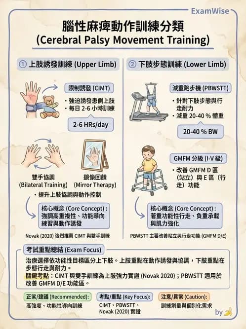 物治 - 腦性麻痺介入、手術與輔具 - AI 圖文解析預覽