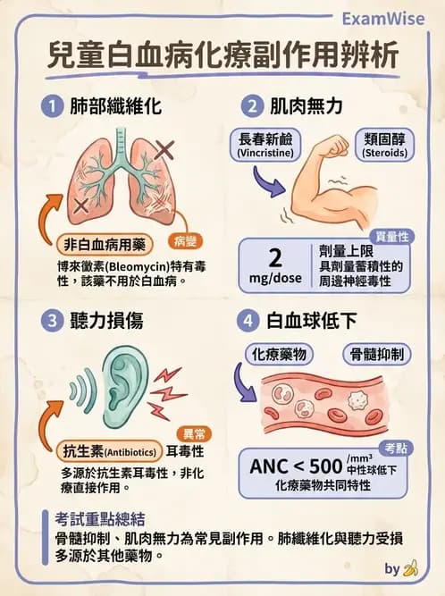 物治 - 小兒心臟、癌症與外傷物理治療 - AI 圖文解析預覽