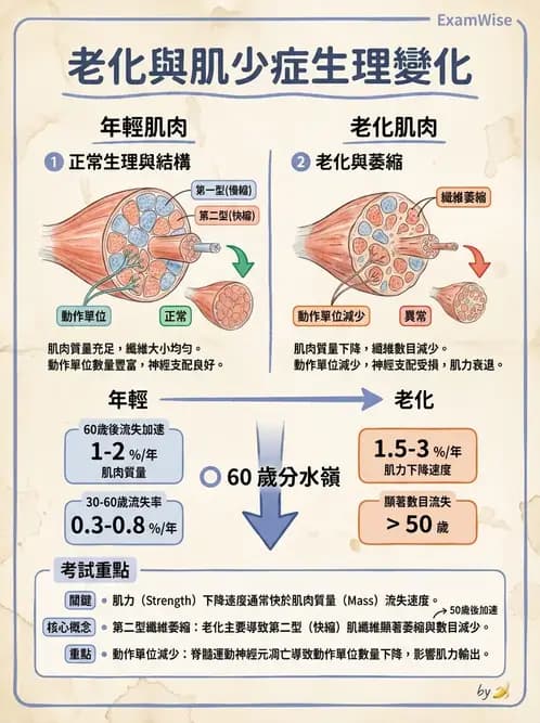 物治 - 骨骼生理與發展老化 - AI 圖文解析預覽