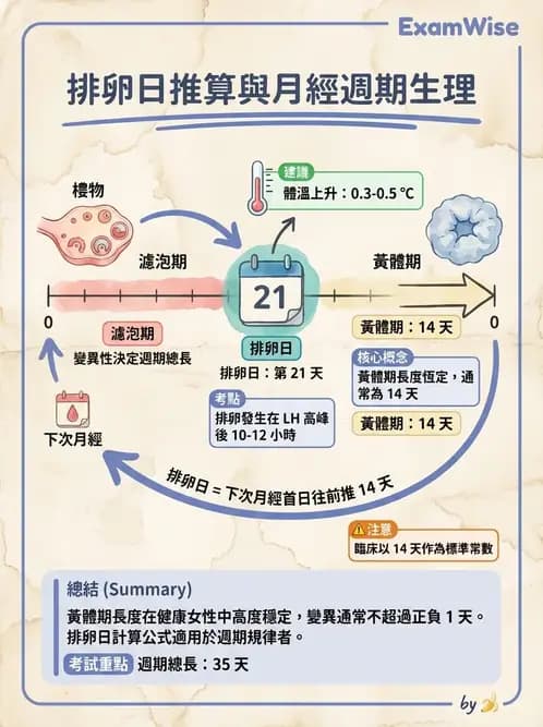 物治 - 免疫生殖與皮膚生理 - AI 圖文解析預覽