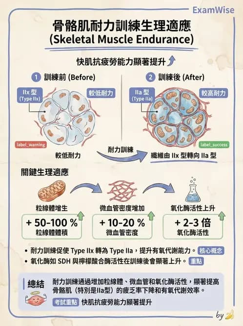 物治 - 肌肉力學與感覺運動控制 - AI 圖文解析預覽