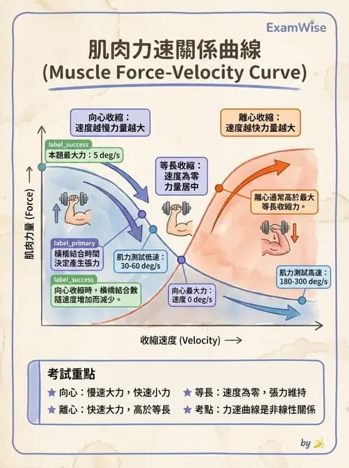 物治 - 肌肉力學與感覺運動控制 - AI 圖文解析預覽