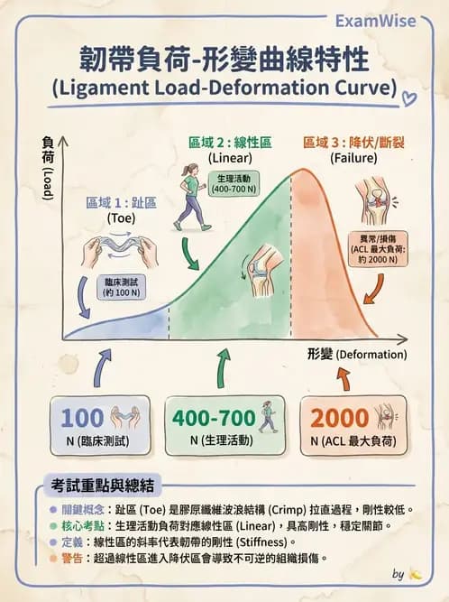 物治 - 組織生物力學 - AI 圖文解析預覽