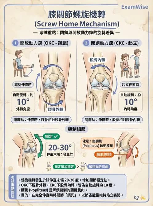 物治 - 膝關節肌動學與生物力學 - AI 圖文解析預覽