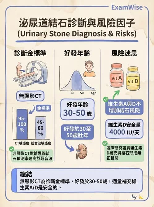 專師 - 泌尿道結石 - AI 圖文解析預覽