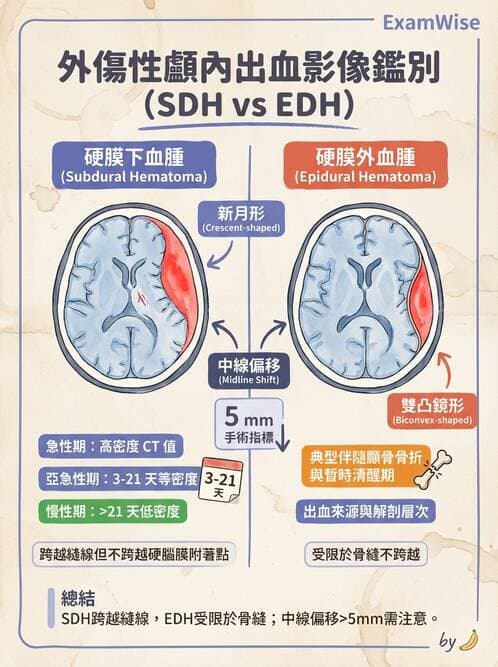 專師 - 頭部外傷與顱內壓 - AI 圖文解析預覽