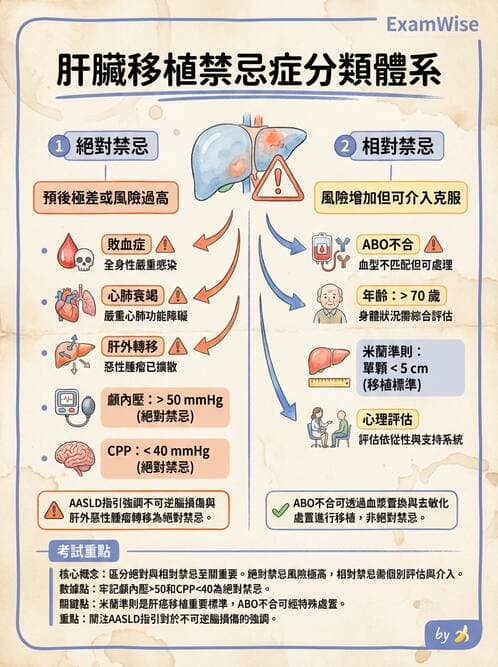 專師 - 器官移植 - AI 圖文解析預覽