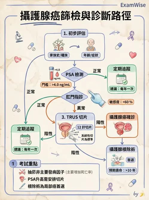 專師 - 攝護腺疾病 - AI 圖文解析預覽