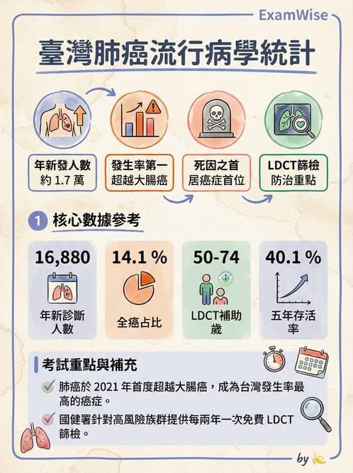 專師 - 胸腔外科 - AI 圖文解析預覽