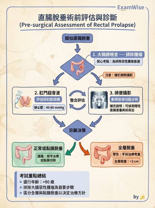 專師 - 腸道疾病與肛門直腸 - AI 圖文解析預覽