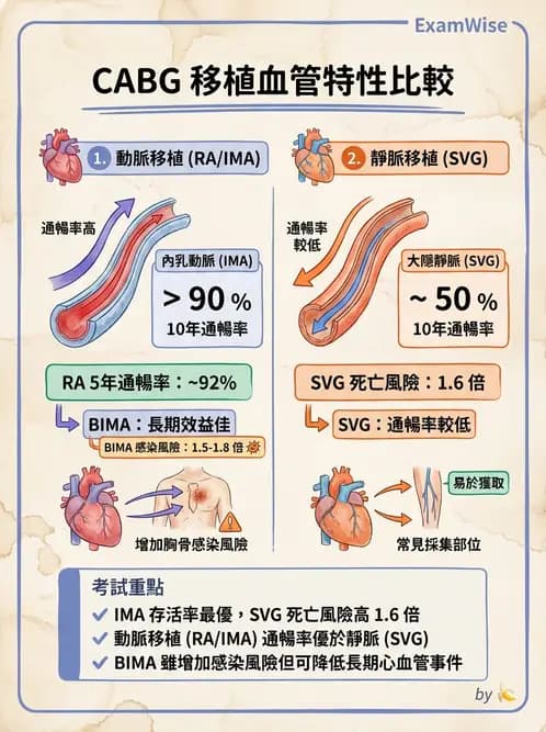 專師 - 心臟外科與介入 - AI 圖文解析預覽