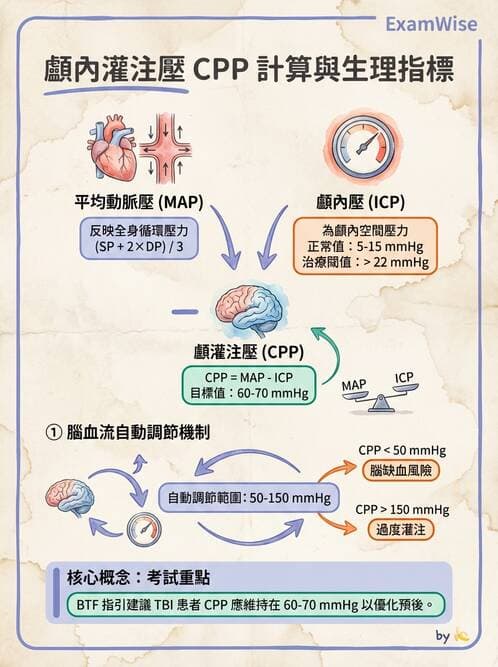 專師 - 頭部外傷與顱內壓 - AI 圖文解析預覽