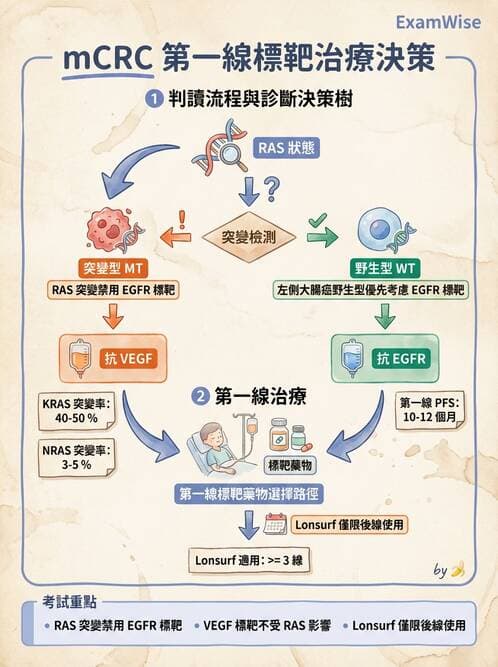 專師 - 大腸直腸癌與息肉 - AI 圖文解析預覽
