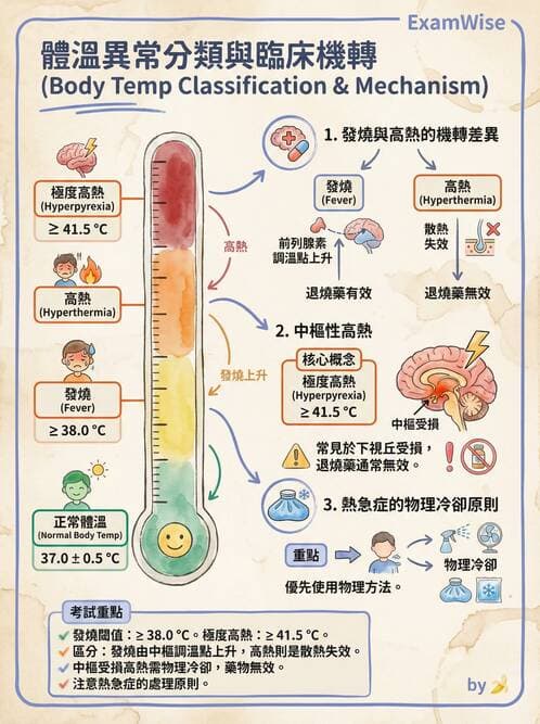 專師 - 敗血症與發燒通論 - AI 圖文解析預覽