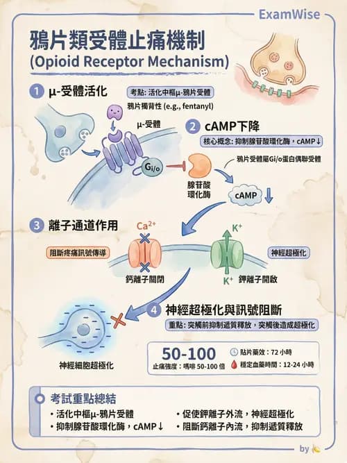 專師 - 術後疼痛控制 - AI 圖文解析預覽