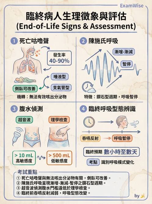 專師 - 安寧緩和與臨終照護 - AI 圖文解析預覽