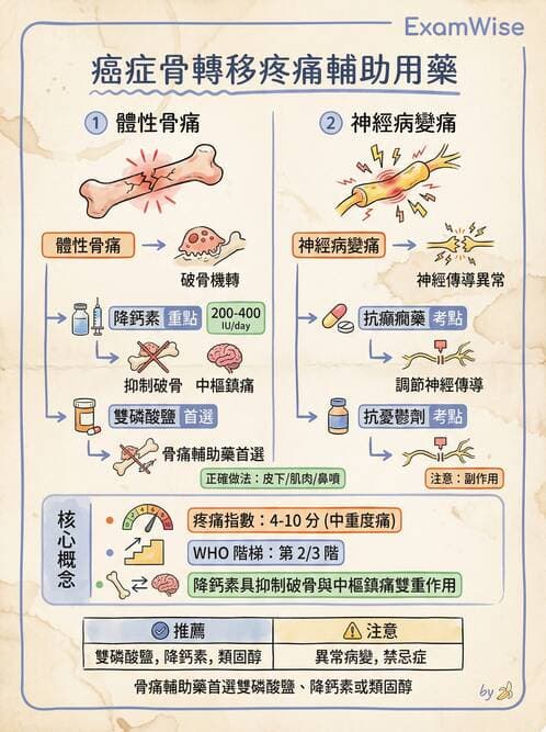 專師 - 疼痛控制與止痛藥物 - AI 圖文解析預覽