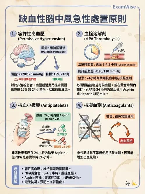 物治 - 腦血管疾病與腦外傷 - AI 圖文解析預覽