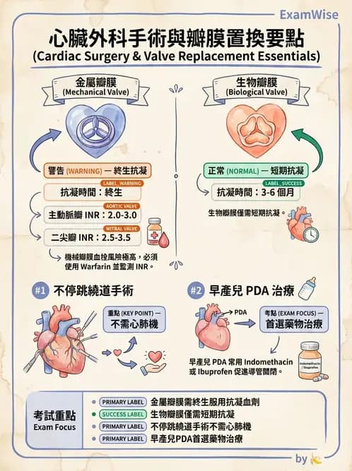 物治 - 心肺系統疾病 - AI 圖文解析預覽