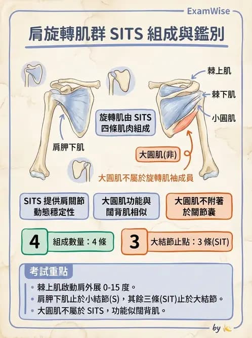 物治 - 骨科與外科疾病 - AI 圖文解析預覽