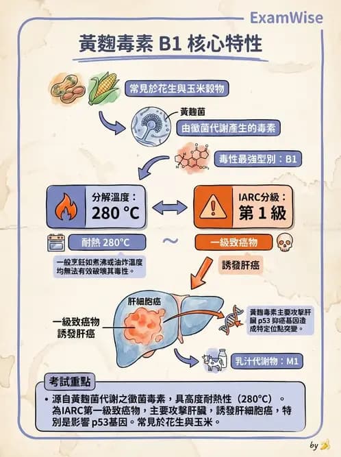物治 - 環境與職業衛生 - AI 圖文解析預覽