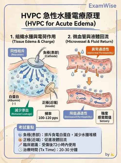 物治 - 高壓間歇直流電 - AI 圖文解析預覽