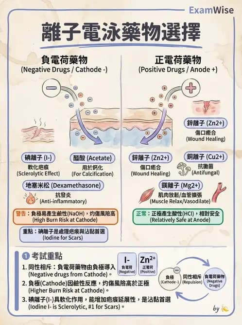 物治 - 離子導入法 - AI 圖文解析預覽