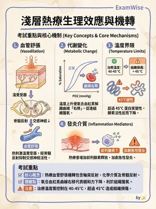 物治 - 溫度療法 - AI 圖文解析預覽