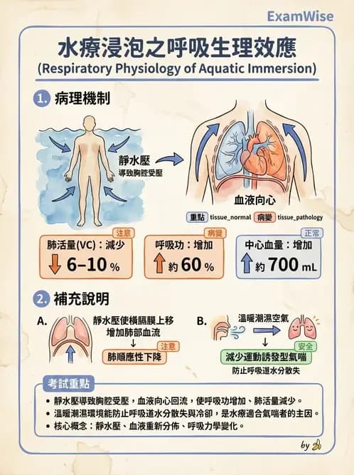 物治 - 水療 - AI 圖文解析預覽