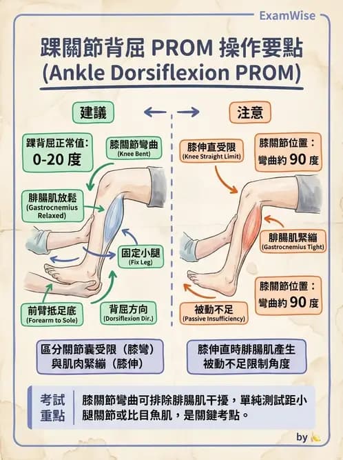 物治 - ROM通則與關節運動 - AI 圖文解析預覽
