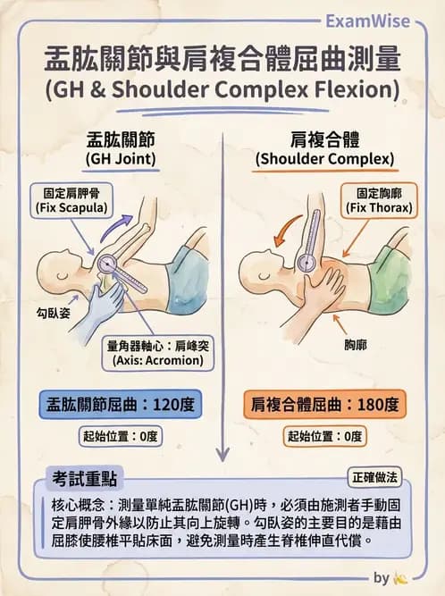 物治 - 上肢關節活動度 - AI 圖文解析預覽